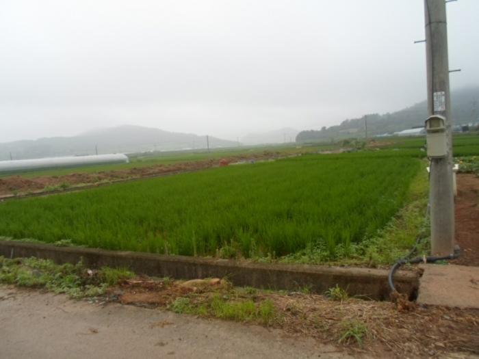 2024타경52833 법원경매 사진5 | 전남 해남군 임야 경매