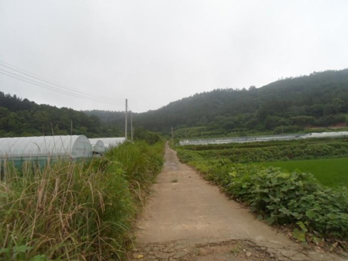 2024타경52833 법원경매 사진7 | 전남 해남군 임야 경매