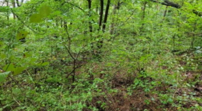 법원경매 2024타경48761 사진9 | 김포시 사우동 대지,임야,전답 경매