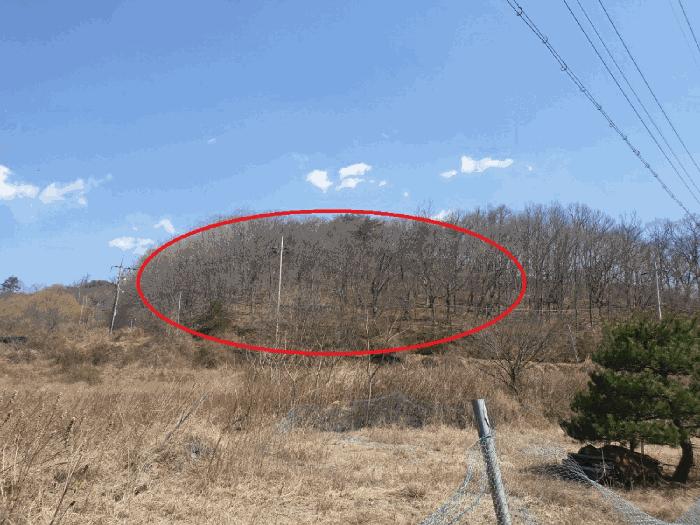 경상북도 경주시 산내면 내일리 산448-3 법원경매 물건 대표사진