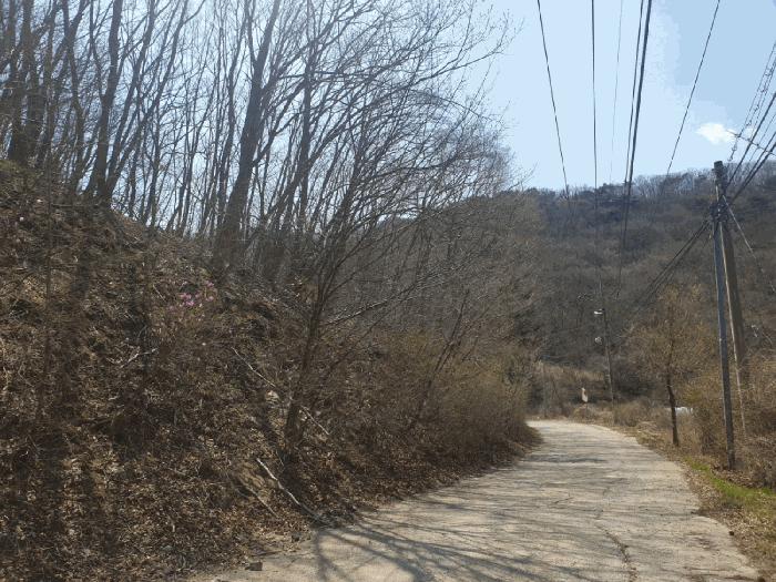 법원경매 2025타경367 사진2 | 경주시 산내면 내일리 임야 경매