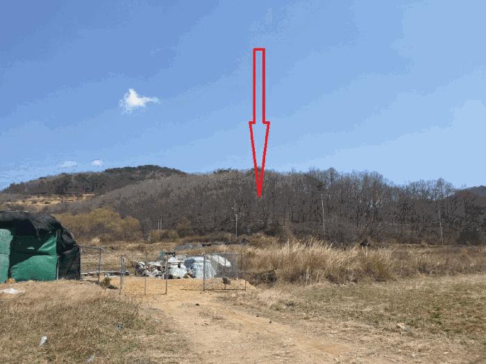 법원경매 2025타경367 사진4 | 경주시 산내면 내일리 임야 경매