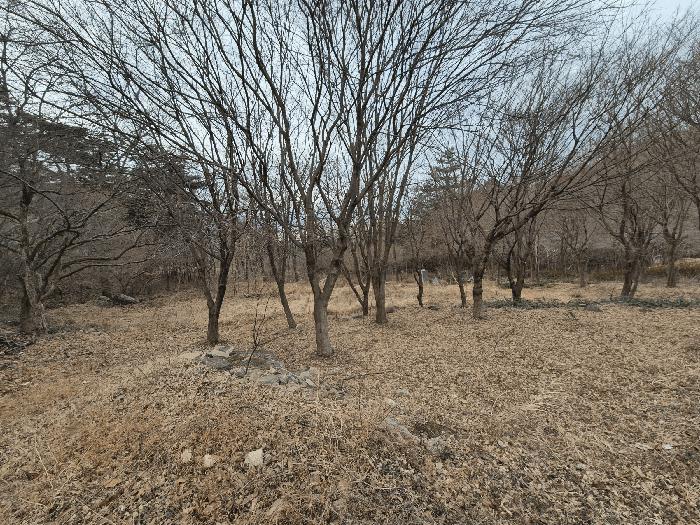 법원경매 2025타경32046 사진3 | 화순군 화순읍 유천리 2-4 전남 화순군 전 경매