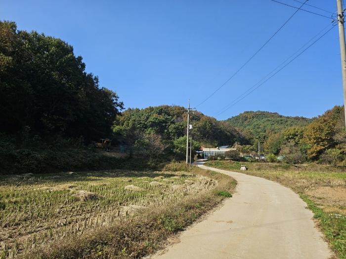 충청남도 당진시 고대면 옥현리 산298-6 법원경매 물건 대표사진
