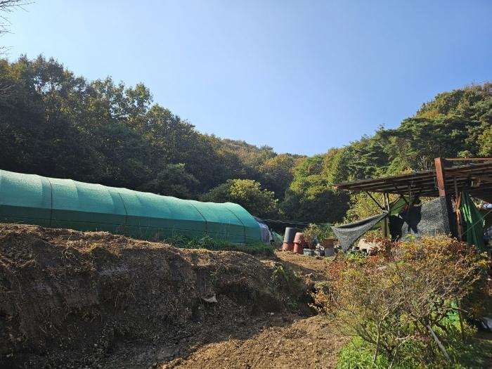 2024타경4341 법원경매 사진2 | 충남 당진시 임야 경매