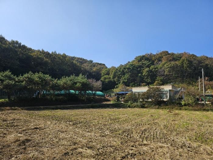 2024타경4341 법원경매 사진3 | 충남 당진시 임야 경매