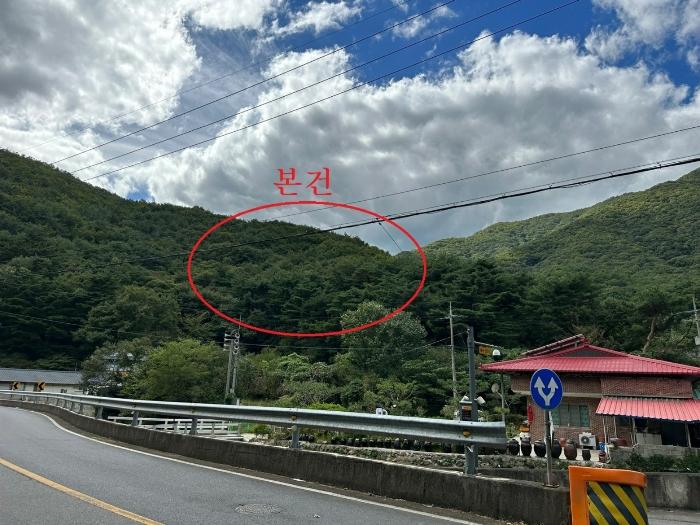 2024타경116142 법원경매 사진2 | 울산 울주군 임야 경매