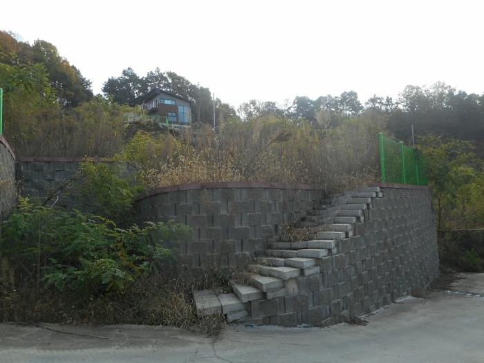 법원경매 2024타경1531 사진2 | 안동시 안막동 14-8 임야 경매