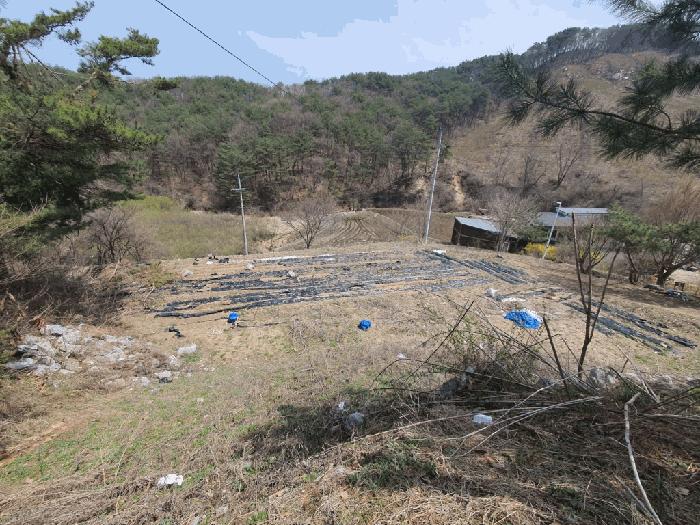 법원경매 2025타경330 사진10 | 춘천시 서면 서상리 임야 경매