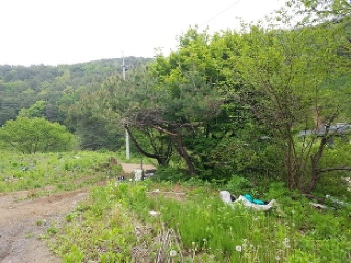 법원경매 2025타경330 사진16 | 춘천시 서면 서상리 임야 경매