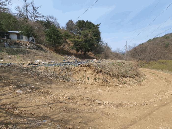 법원경매 2025타경330 사진5 | 춘천시 서면 서상리 임야 경매