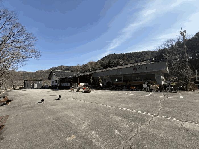 법원경매 2025타경50515 사진32 | 홍천군 화촌면 전 경매
