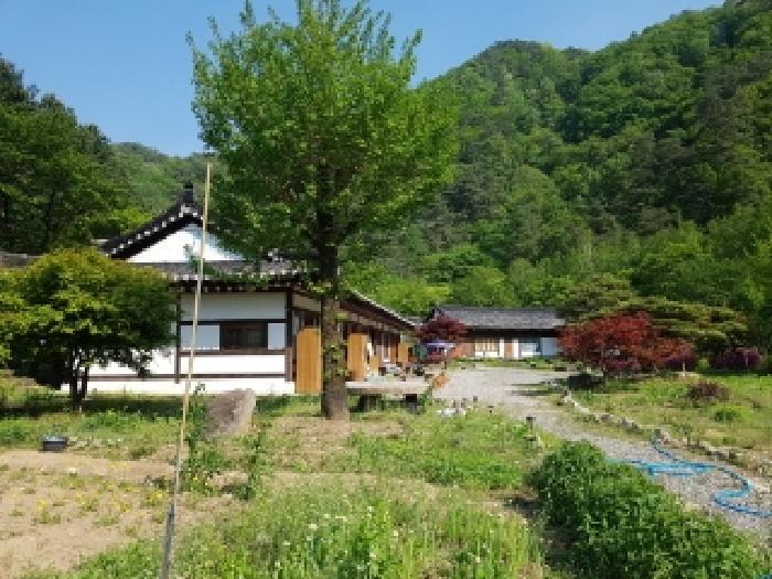 법원경매 2025타경50515 사진44 | 홍천군 화촌면 전 경매