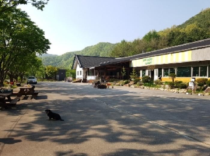 법원경매 2025타경50515 사진64 | 홍천군 화촌면 전 경매