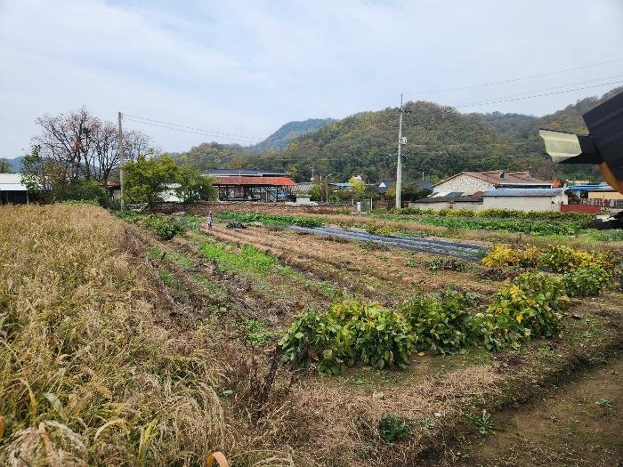 법원경매 2024타경103390 사진4 | 안동시 일직면 과수원 경매