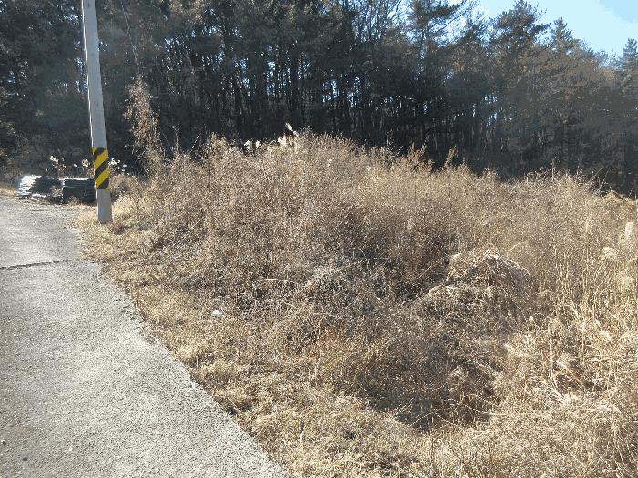 2024타경4026 법원경매 사진6 | 포항 남구 창고 경매