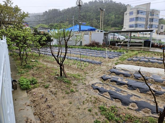 법원경매 2024타경103712 사진2 | 부산 기장군 일광읍 학리 278-4 전 경매