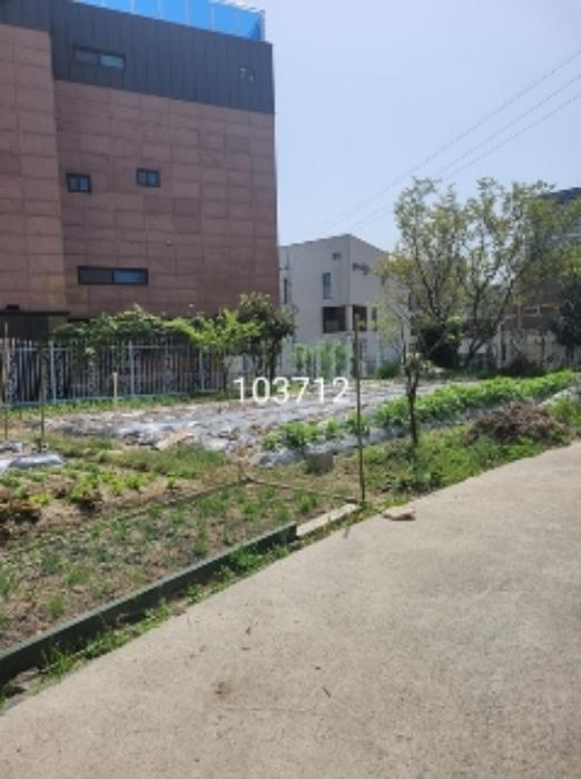 법원경매 2024타경103712 사진7 | 부산 기장군 일광읍 학리 278-4 전 경매