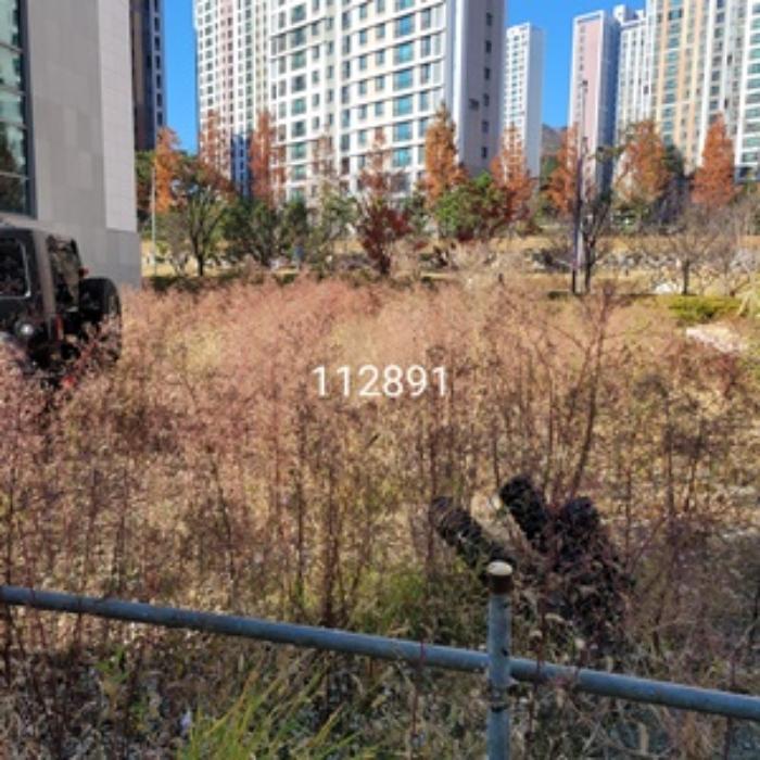 법원경매 2024타경112891 사진3 | 부산 기장군 일광읍 대지 경매
