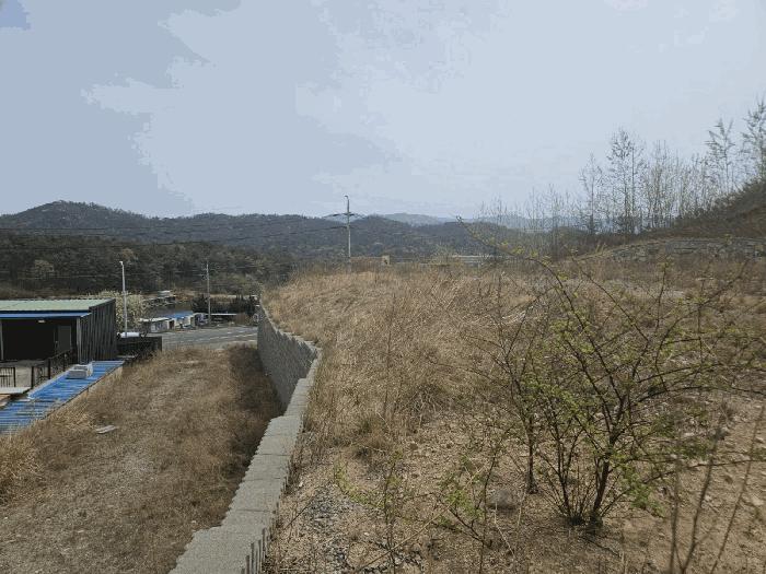 법원경매 2025타경376 사진4 | 경주시 외동읍 냉천리 임야 경매