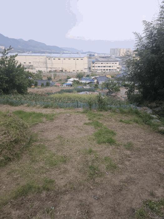 경북 경주시 외동읍 문산리 60 전 사진 2