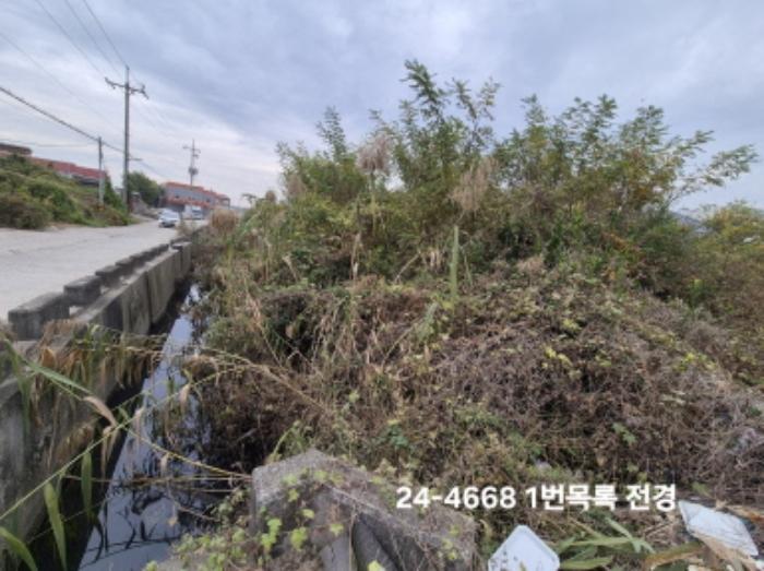 법원경매 2024타경4668 사진10 | 부산 강서구 대저1동 3191-3 전 경매
