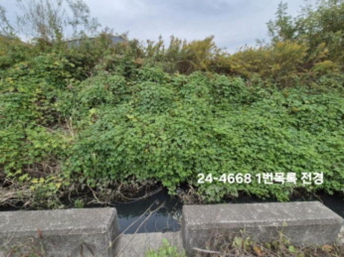 법원경매 2024타경4668 사진11 | 부산 강서구 대저1동 3191-3 전 경매