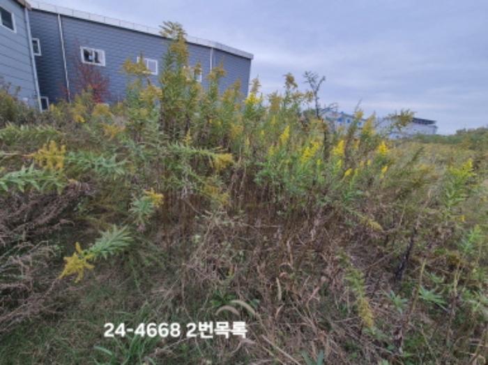 법원경매 2024타경4668 사진7 | 부산 강서구 대저1동 3191-3 전 경매