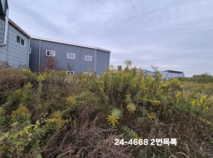 법원경매 2024타경4668 사진8 | 부산 강서구 대저1동 3191-3 전 경매