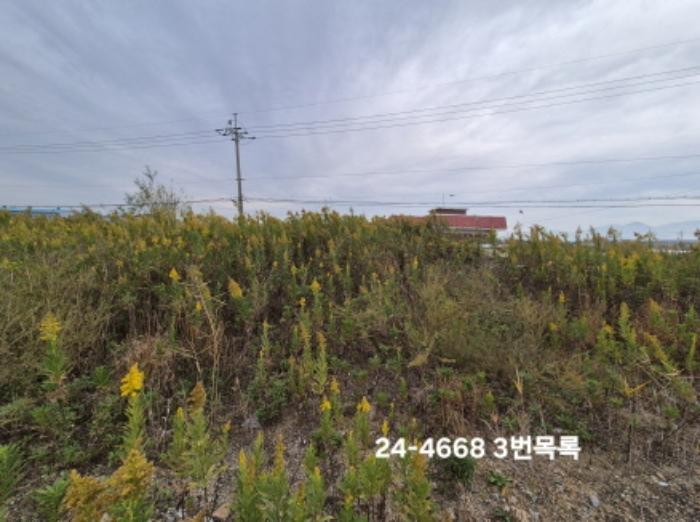 법원경매 2024타경4668 사진9 | 부산 강서구 대저1동 3191-3 전 경매