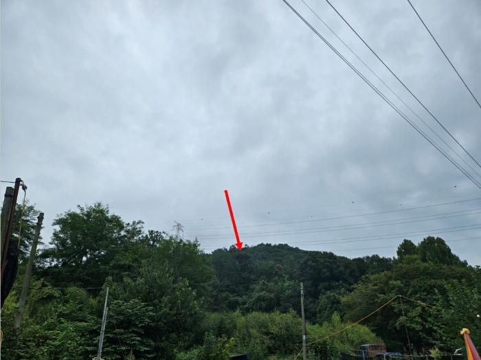 법원경매 2024타경79599 사진3 | 고양시 덕양구 용두동 62-1 임야 경매