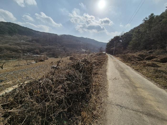 법원경매 2025타경5100 사진2 | 칠곡군 가산면 가산리 792 답 경매