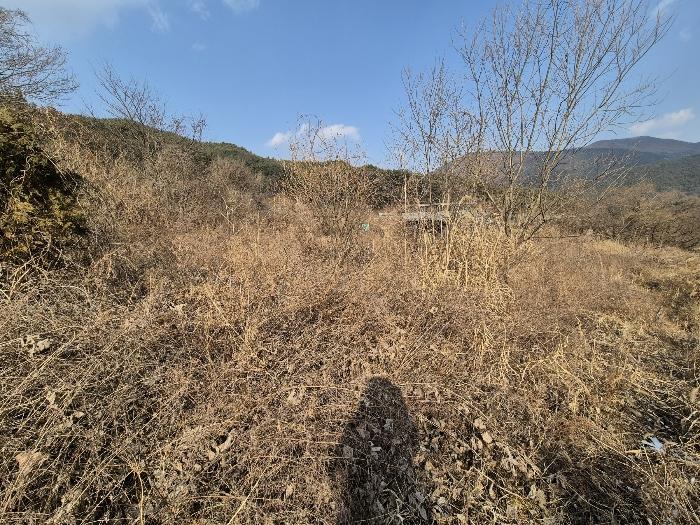 법원경매 2025타경5100 사진3 | 칠곡군 가산면 가산리 792 답 경매