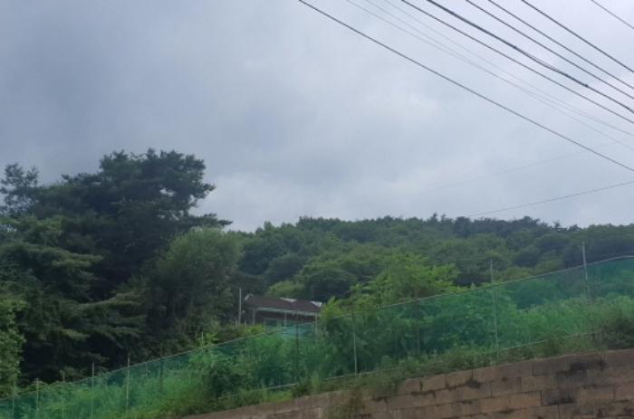 법원경매 2024타경3697 사진6 | 광주시 곤지암읍 장심리 임야 경매