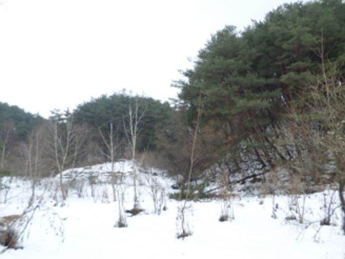 법원경매 2024타경3291 사진2 | 횡성군 둔내면 두원리 임야 경매