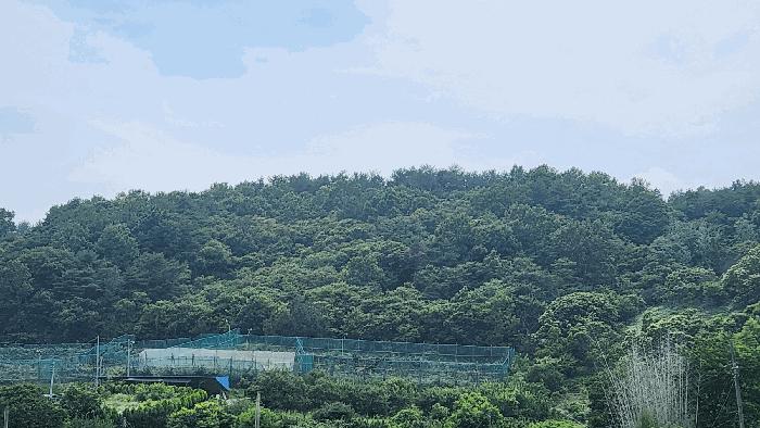 2024타경31057 법원경매 사진2 | 경남 하동군 임야 경매