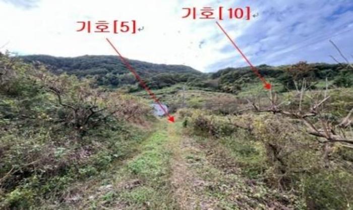2024타경2697 법원경매 사진4 | 경남 밀양시 답 경매