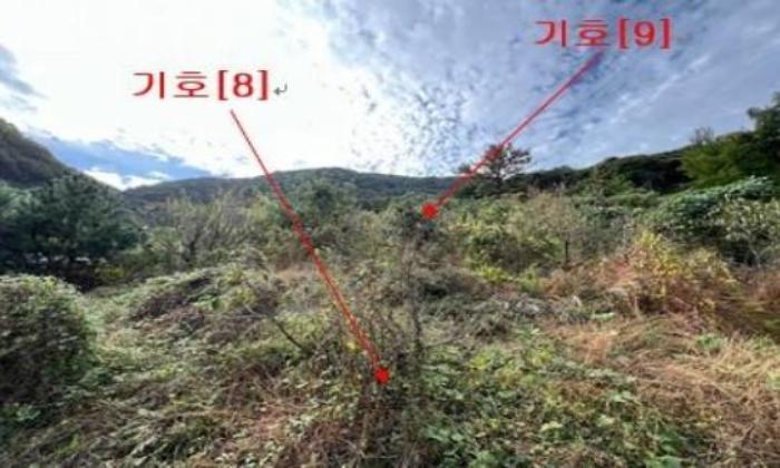 2024타경2697 법원경매 사진7 | 경남 밀양시 답 경매