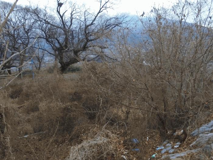 경상남도 밀양시 산내면 삼양리 1804-5 법원경매 물건 대표사진