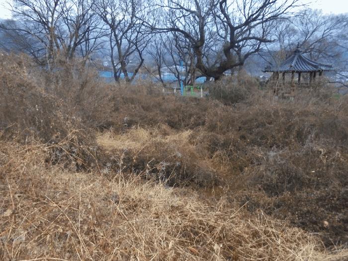2024타경3218 법원경매 사진3 | 경남 밀양시 전 경매