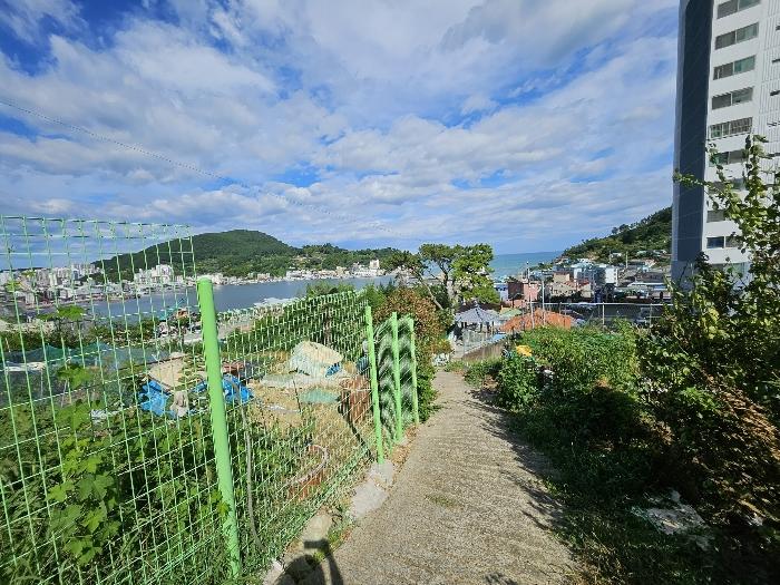 경상남도 거제시 장승포동 579-10 법원경매 물건 대표사진