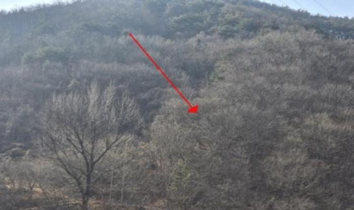 2024타경13628 법원경매 사진6 | 경남 밀양시 임야 경매