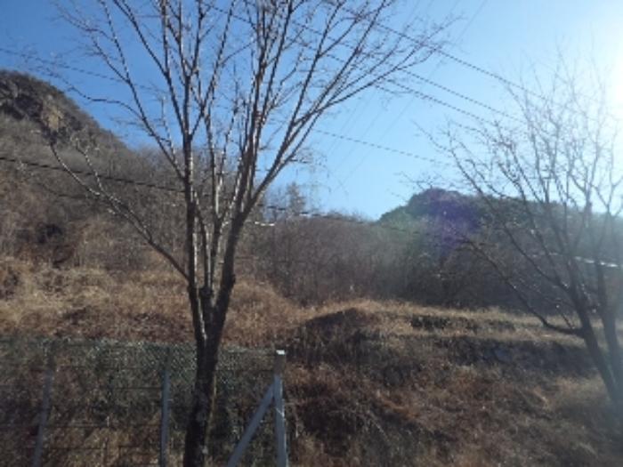 2024타경13628 법원경매 사진7 | 경남 밀양시 임야 경매