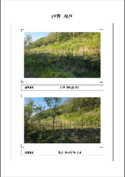 2025타경51033 법원경매 사진37 | 전남 함평군 임야 경매