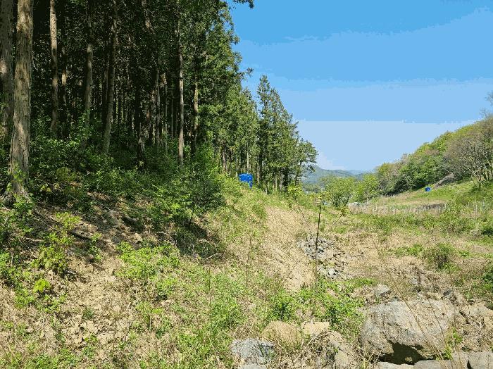 2025타경51033 법원경매 사진29 | 전남 함평군 임야 경매