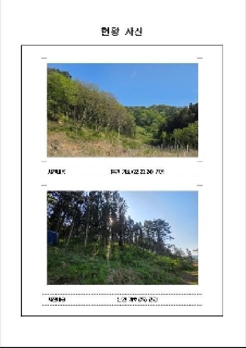 2025타경51033 법원경매 사진42 | 전남 함평군 임야 경매