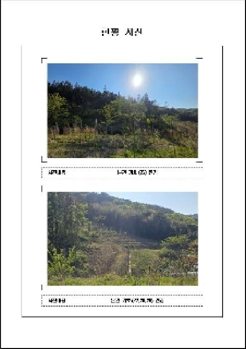 2025타경51033 법원경매 사진43 | 전남 함평군 임야 경매