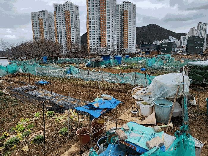 2025타경20997 법원경매 사진2 | 경남 거제시 답 경매