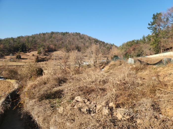 2024타경5520 법원경매 사진3 | 전남 여수시 전 경매