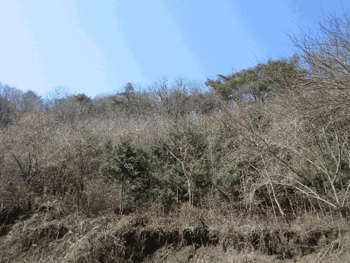전라남도 순천시 삼거동 산266-1 법원경매 물건 대표사진